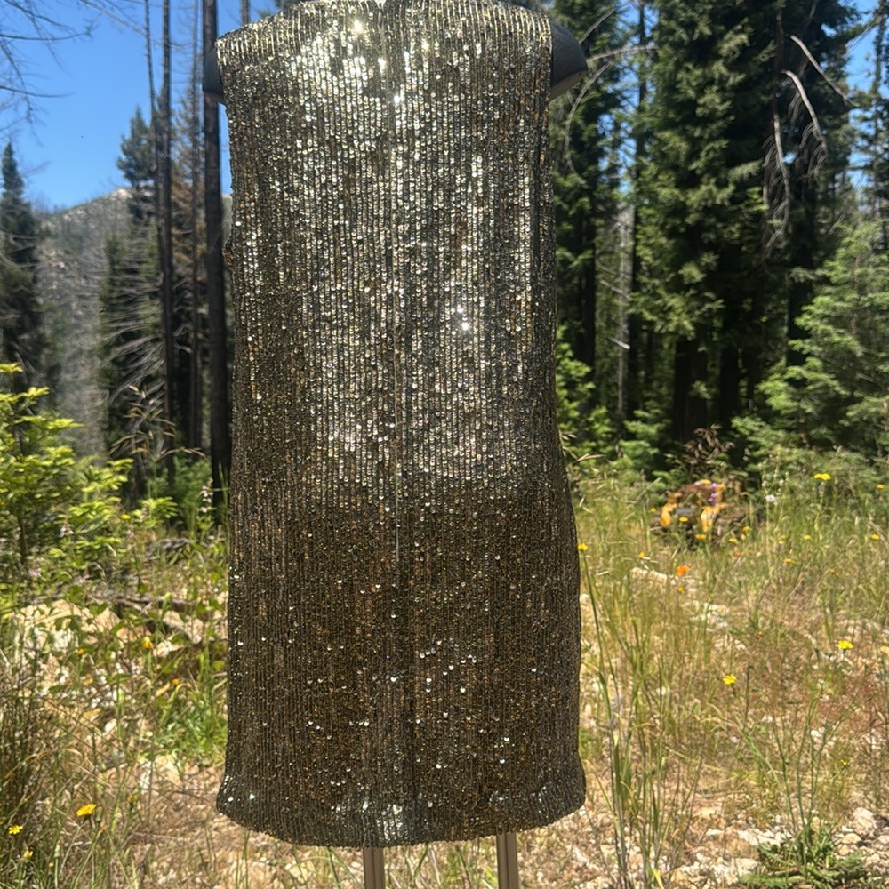 NWOT Polo Ralph Lauren sequined/Beaded Sleeveless Mini Cocktail Dress Stunning! - Picture 6 of 12